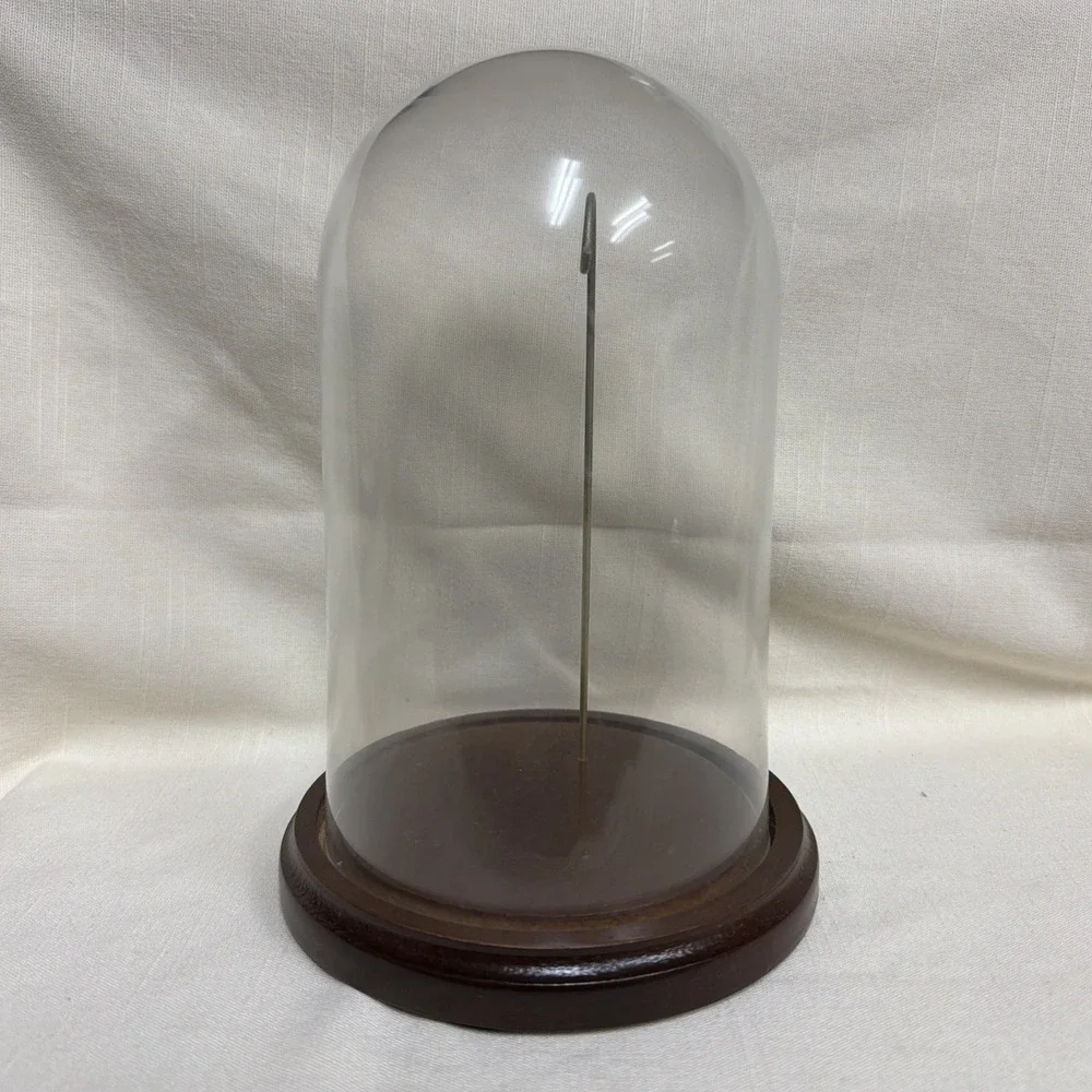 Glass Dome Display Case ~ Wood Base,  Brass Hook For Watch Display
